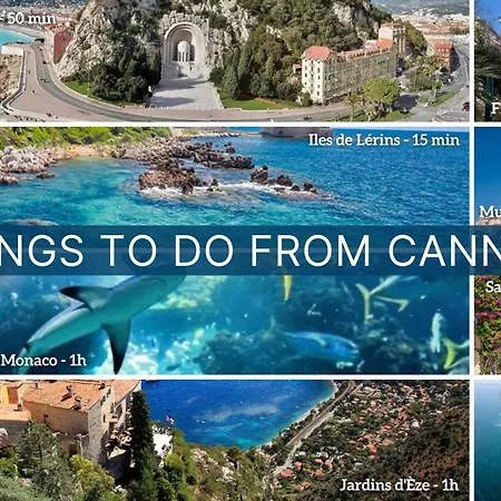 Croisette Rue Meynadier Palais 1 Mn Modern 1 Bedroom By Olam * קאן